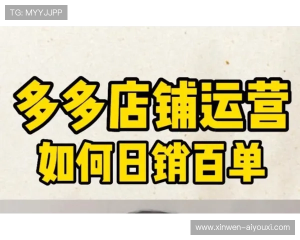 拼多多运营实战指南提升店铺流量转化率全解析