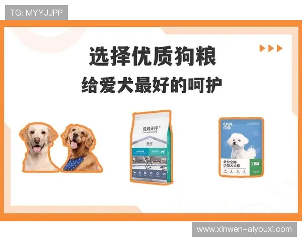 资深养宠达人精选高性价比狗粮推荐帮助爱犬健康成长指南方案秘诀